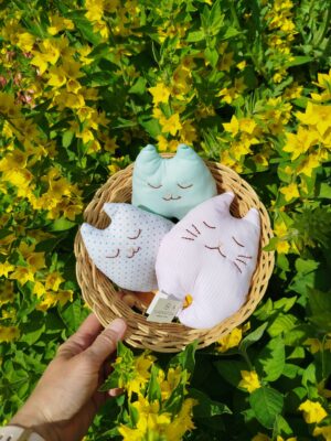 Snívajúca mačička 🐱😴