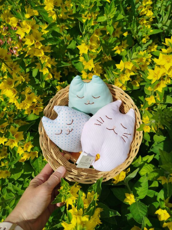 IMG_20250603_142306 (1) Snívajúca mačička 🐱😴